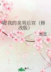 哦!我的美男后宫（修改版）